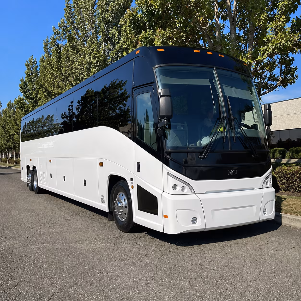 rialto 50 passenger charter bus