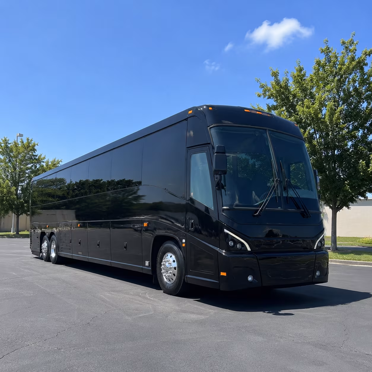 rialto 56 passenger charter bus