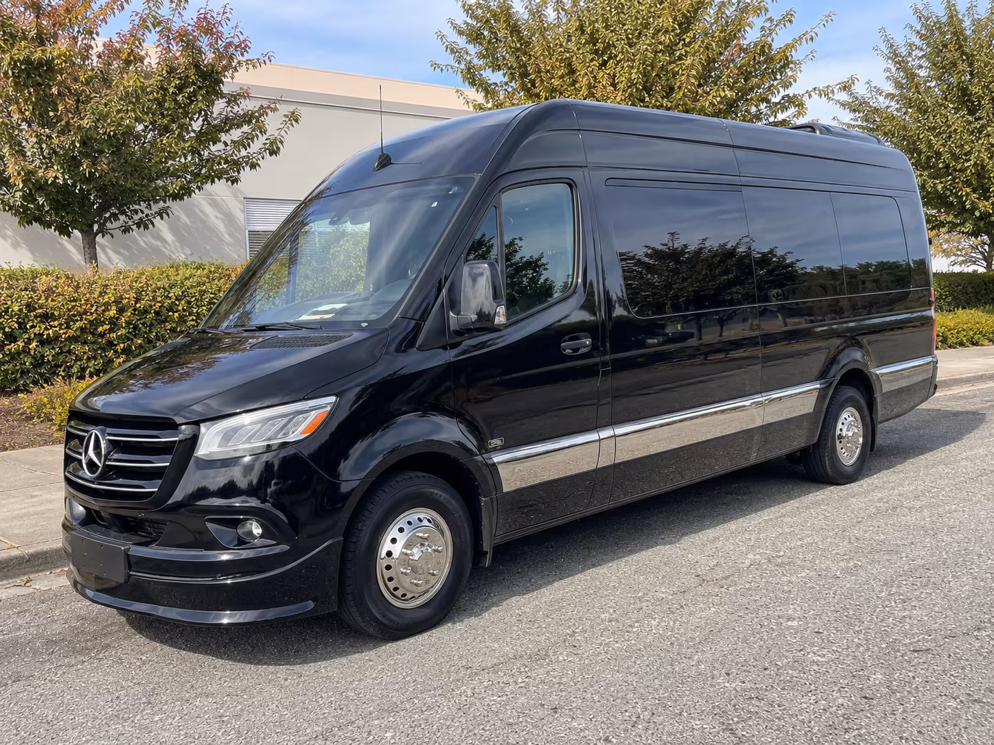 rialto sprinter van with driver